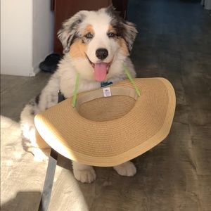 Meet your Posher, Erin